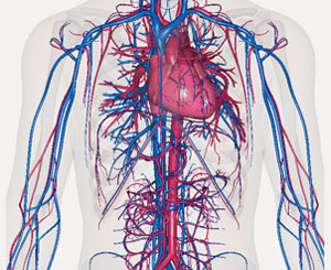 aortic aneurysm