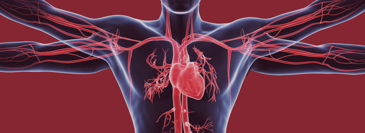 Vascular Institute of Atlanta Provides World Class Care for Vascular Diseases and Conditions