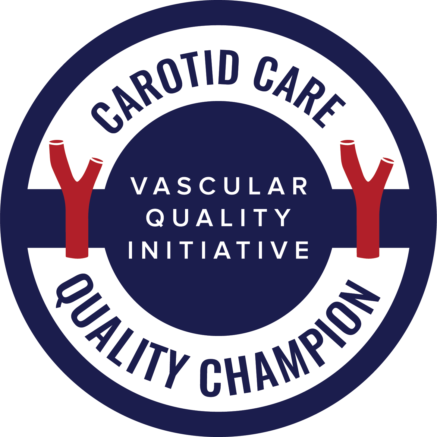 Vascular Quality Initiative — Carotid Artery Quality Champion